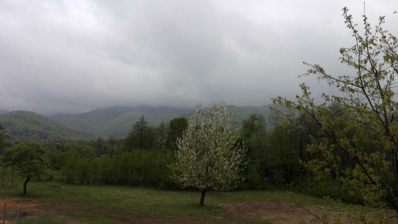 Комплекс Тянкови Къщи Varshets (Montana) Exterior foto
